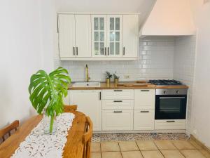 a kitchen with white cabinets and a potted plant at Puente Roto in Tigalate +14 photos