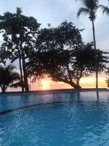 a pool with trees and the sunset in the background at Cookies Hotel in Ko Chang