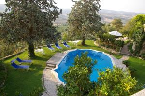 an outdoor swimming pool with chairs and umbrellas at B&B Villa Clodia in Saturnia