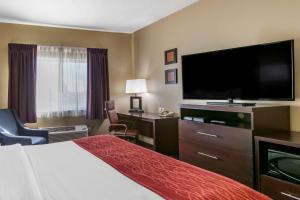 TV a/nebo společenská místnost v ubytování Comfort Inn Fort Collins North