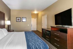TV a/nebo společenská místnost v ubytování Comfort Inn Fort Collins North
