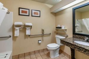 Koupelna v ubytování Comfort Inn Fort Collins North