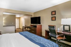 TV a/nebo společenská místnost v ubytování Comfort Inn Fort Collins North
