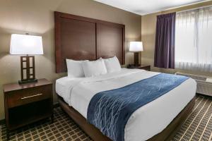 Postel nebo postele na pokoji v ubytování Comfort Inn Fort Collins North
