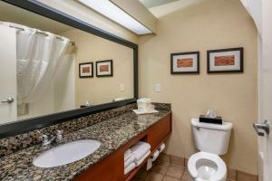 Koupelna v ubytování Comfort Inn Fort Collins North
