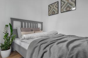 ein Schlafzimmer mit einem Bett mit einer grauen Decke in der Unterkunft HARBOR APARTMENTS - Zabrska in Kattowitz