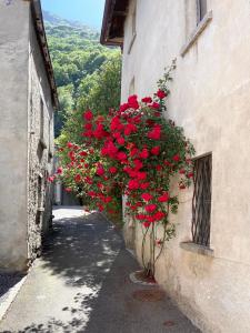 Une bande de fleurs rouges suspendues du côté d'un bâtiment dans l'établissement Ca Spontoi Do-Minus guesthouse & Mini Spa, à Gnosca