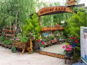 Billede fra billedgalleriet på Ala Otel Konuk Evi Agva i Sile