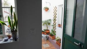 Fotografie z fotogalerie ubytování Casa Volta do Mar v destinaci Horta