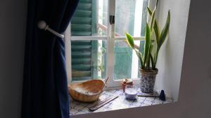 Fotografie z fotogalerie ubytování Casa Volta do Mar v destinaci Horta