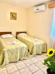 a hotel room with two beds and a window at Hotel São Pedro in São Pedro