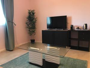 Μια τηλεόραση ή/και κέντρο ψυχαγωγίας στο Borgo Palombaio Home +14 φωτογραφίες