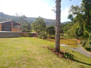 a tree in the yard of a house at Sítio Pé da Serra - Pousada Rural in Capitólio