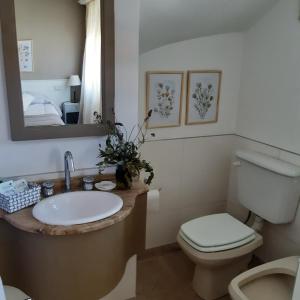 a bathroom with a sink and a toilet and a mirror at Casa Garay 602 in Mar del Plata