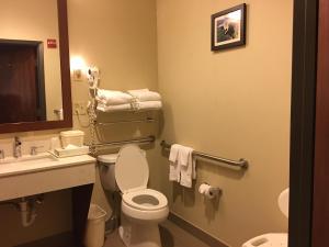 a bathroom with a toilet and a sink and a mirror at Comfort Inn Early Brownwood in Early