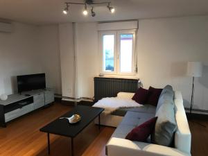 a living room with a couch and a tv at Gîte Célia in Sélestat