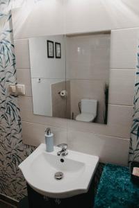 a bathroom with a sink and a mirror and a toilet at Domek Sienna 1a Czarna Góra in Stronie Śląskie