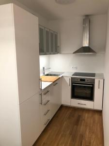 Kuchyňa alebo kuchynka v ubytovaní Neubau Wohnung Stadlau