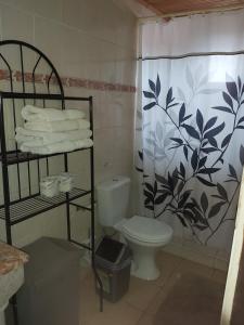 a bathroom with a toilet and a shower curtain at Sea Horizon Apartments in Willemstad