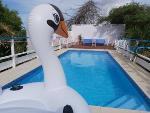 a swan inflatable swan sitting on top of a swimming pool at Sea Horizon Apartments in Willemstad