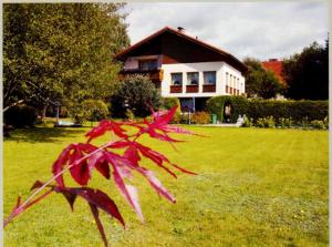 un fiore rosso di fronte a una casa di Gästehaus Tropf a Litschau