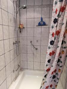 ein Bad mit Dusche und Duschvorhang in der Unterkunft Gästehaus Tropf in Litschau