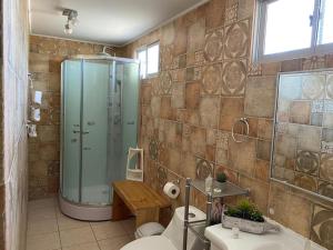 a bathroom with a shower and a toilet and a sink at SALITRE SPA in Pozo Almonte