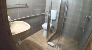 a bathroom with a toilet and a sink and a shower at Apartman Zelengora Dolina mira in Pale