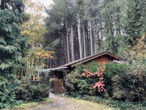 een hut midden in een bos van bomen bij Chalet in a peaceful location near Nijlen in Nijlen