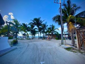 a dirt road with palm trees on the beach at AKBAL Holbox - Beach Zone in Holbox Island