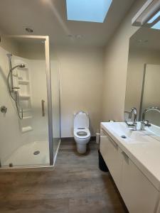 a bathroom with a toilet and a shower and a sink at Tekapo Ski Club Retreat in Lake Tekapo