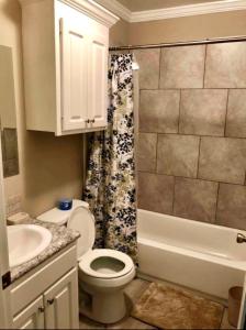 ein Bad mit einem WC, einem Waschbecken und einer Dusche in der Unterkunft Trinity One Apartments - Industrial Luxury in Jackson