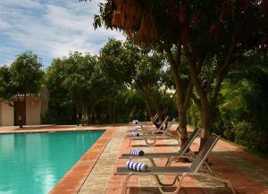 a row of lounge chairs next to a swimming pool at Sarovar Portico Sasangir in Sasan Gir