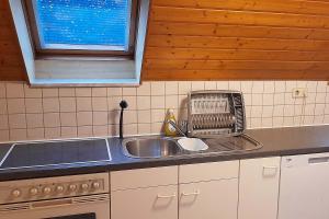 een keuken met een wastafel en een broodrooster bij Gemütliche Apartments mit Balkon in Niederstotzingen