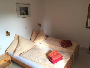 two beds in a room with white sheets and red pillows at Lautersheimer Gutshof in Lautersheim