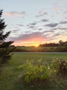 a field with a sunset in the background at Feriehus Roskilde fjord in Skibby