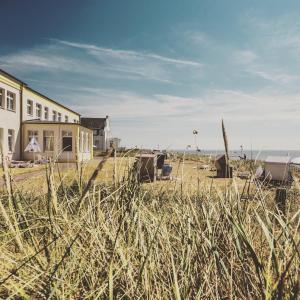 a field of tall grass in front of a beach at Appartementhaus Meeresburg in Norderney