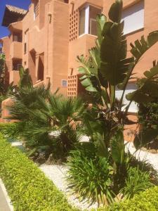 Ogród w obiekcie Bright apartment with sea view in Casares, 96 m², pool