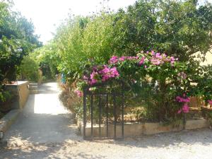 Zahrada ubytování Elegant Villa in Sant Miquel de Balansat with Private Pool