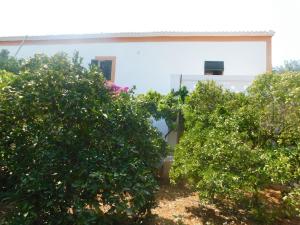 Zahrada ubytování Elegant Villa in Sant Miquel de Balansat with Private Pool