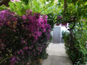 Zahrada ubytování Elegant Villa in Sant Miquel de Balansat with Private Pool