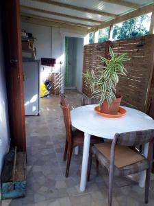 a table with a potted plant on top of it at Maison chaleureuse à Petit-Bourg in Petit-Bourg