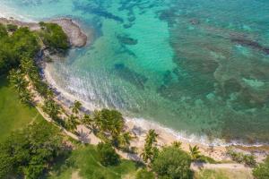 an overhead view of a beach with palm trees and the ocean at Karibea Sainte Luce Hotel in Sainte-Luce