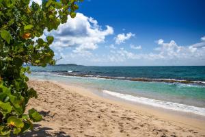 piaszczysta plaża z oceanem w tle w obiekcie Karibea Sainte Luce Hotel w mieście Sainte-Luce