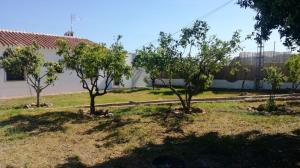 Vonkajšia záhrada v ubytovaní Luxury Villa in Frigiliana