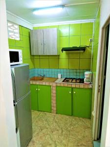 a kitchen with green cabinets and a refrigerator at Studio avec vue sur la ville jardin clos et wifi a Fort de France in Fort-de-France