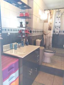 a bathroom with a sink and a toilet at Villa de 3 chambres avec piscine privee jacuzzi et jardin clos a La Plaine des Cafres in La Plaine des Cafres