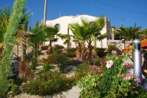 un giardino con palme e fiori di fronte a un edificio di 5 bedrooms villa with private pool furnished garden and wifi at Bompensiere a Bompensiere
