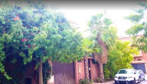 Gallery image of One bedroom appartement with enclosed garden and wifi at Marrakech in Marrakesh