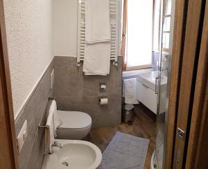 a small bathroom with a toilet and a sink at Albergo Soldanella in Madesimo